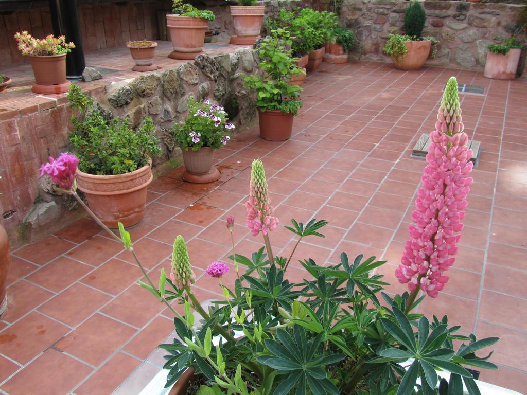 Ezcaray Turza Casa Rural Completa Hasta 8Pax ภายนอก รูปภาพ